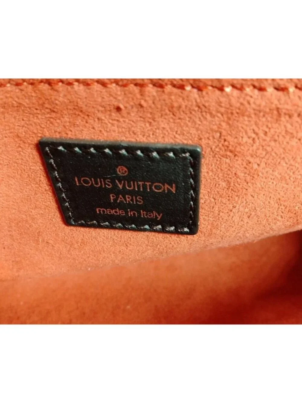 LIMITED EDITION Louis Vuitton  Damier Sauvage Lionne Pony Hair Handbag 623E191P